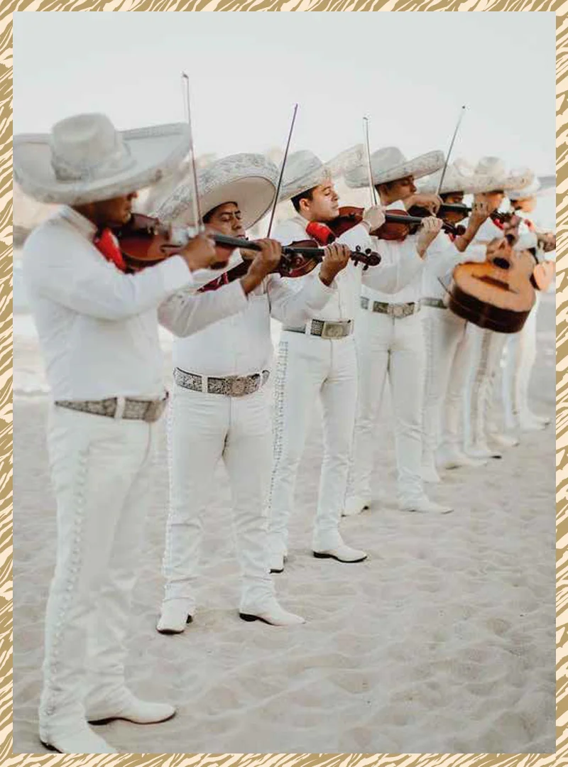 Shows Especiales